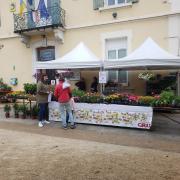 Marché aux fleurs du 29 avril 2023